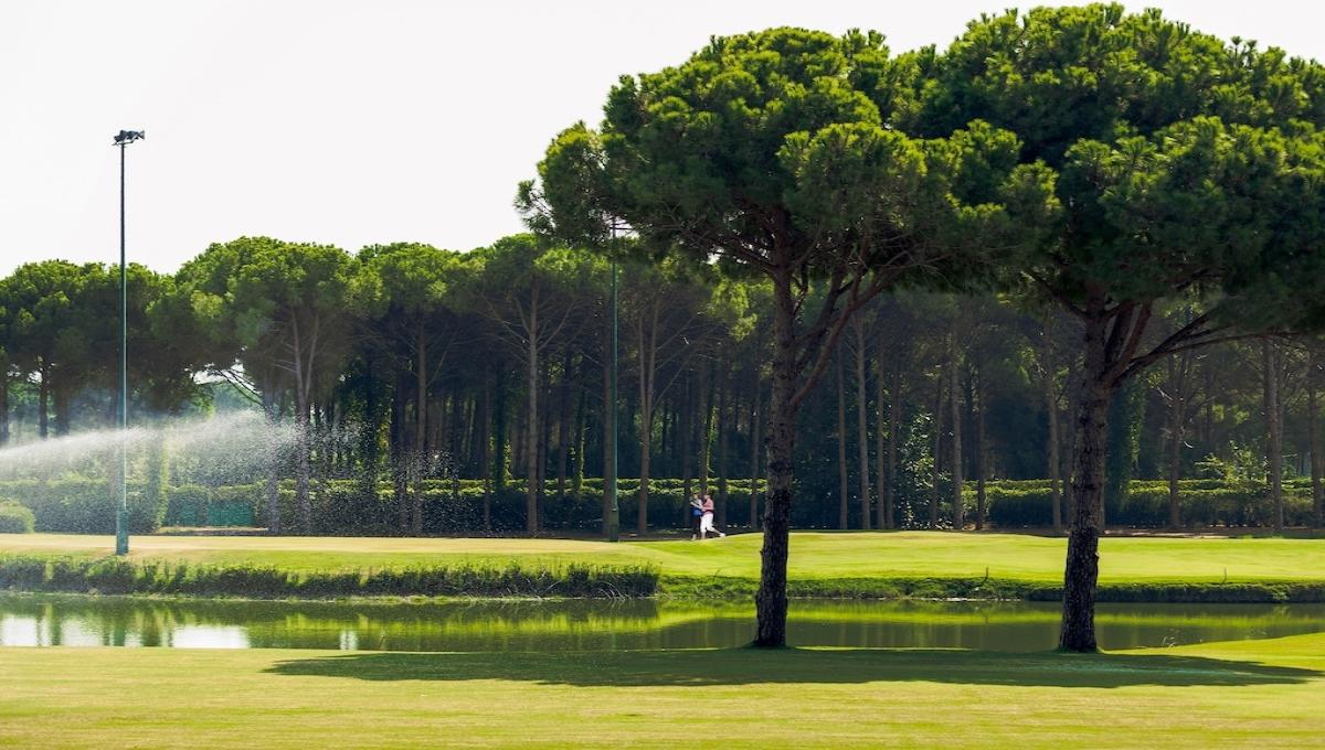 Regnum Carya / Regnum Carya