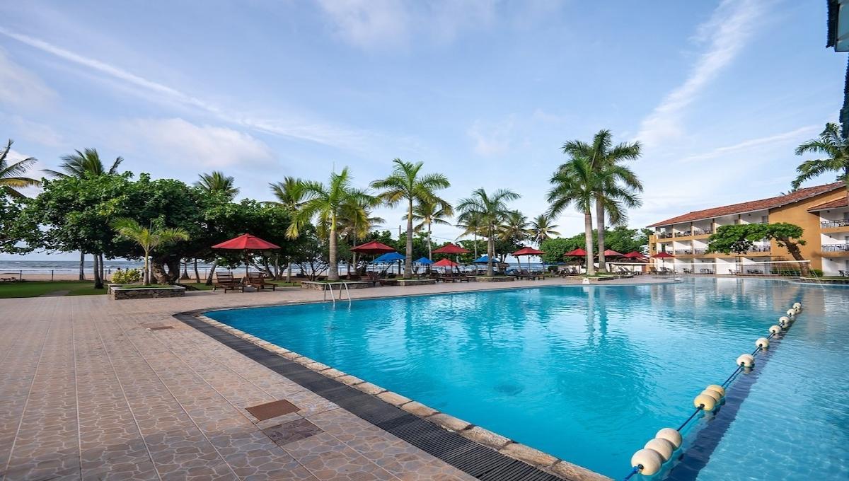 The Palms / The Palms