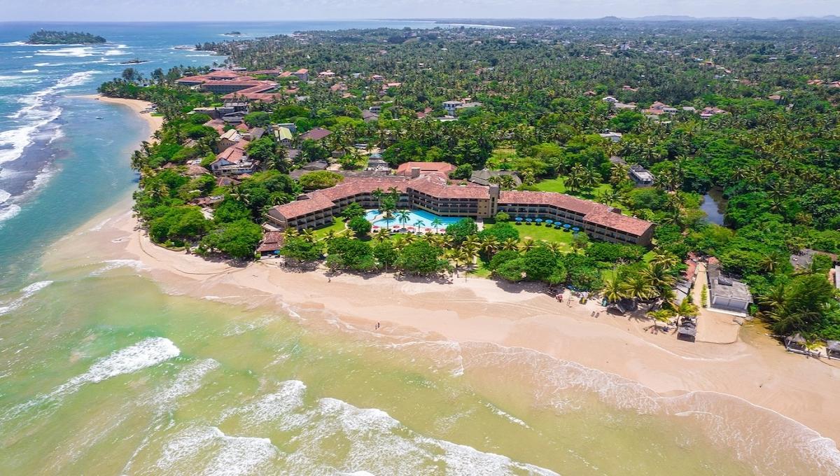 The Palms / The Palms