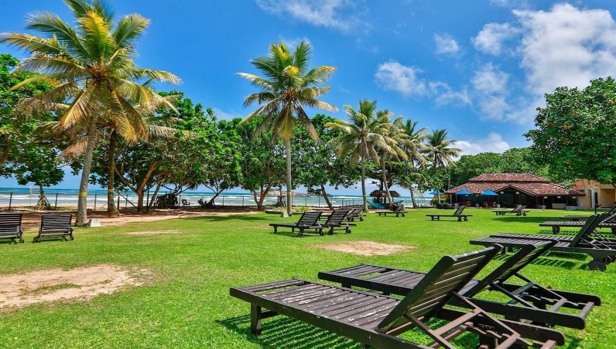 The Palms / The Palms