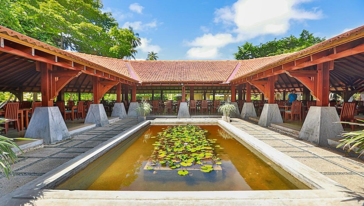 The Palms / The Palms