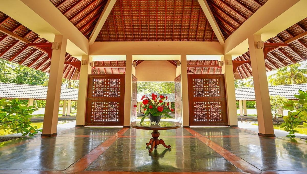 The Palms / The Palms