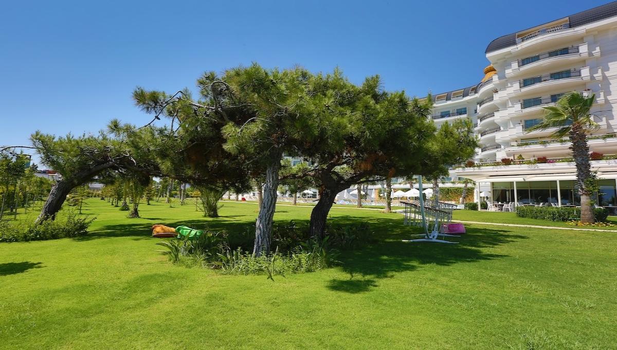 Asteria Bloom Side ( Ex.selectum For Two) / Asteria Bloom Side ( Ex.selectum For Two)