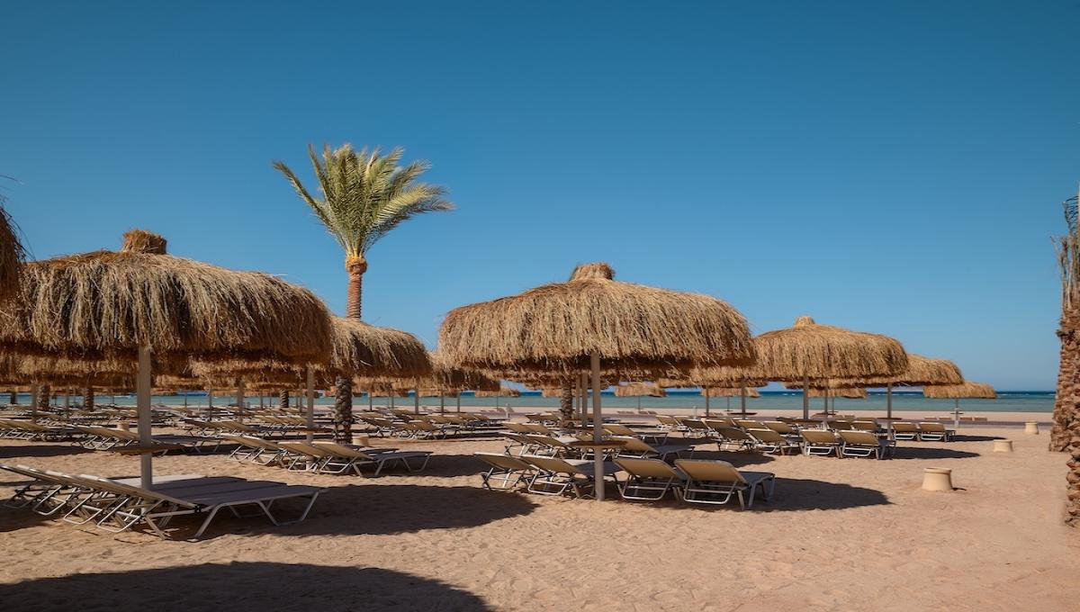 Jaz Elite Asteria (ex. Jaz Asteria) / Jaz Elite Asteria (ex. Jaz Asteria)