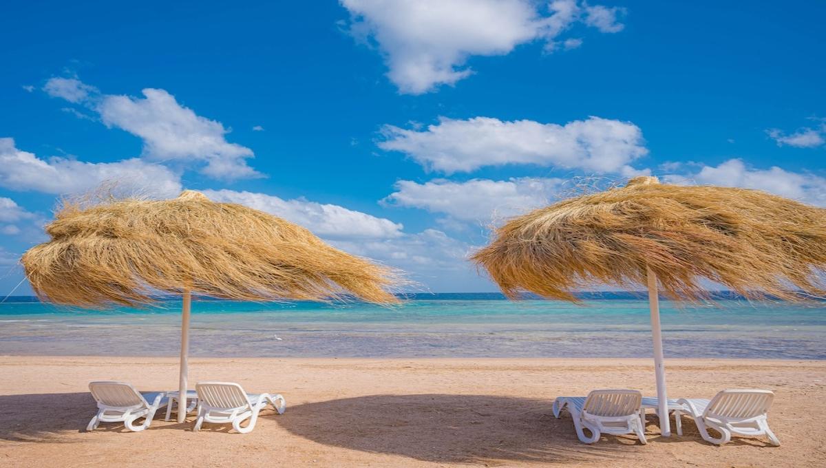 Reef Oasis Suakin Resort / Reef Oasis Suakin Resort