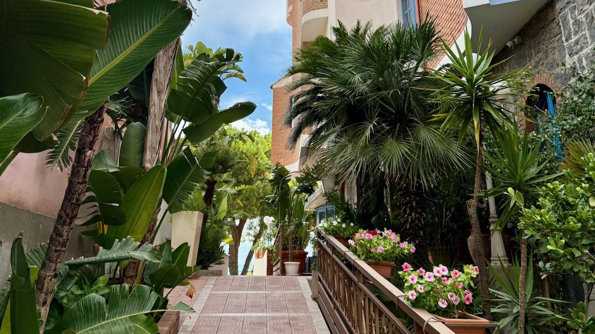 Sporting Baia / Sporting Baia