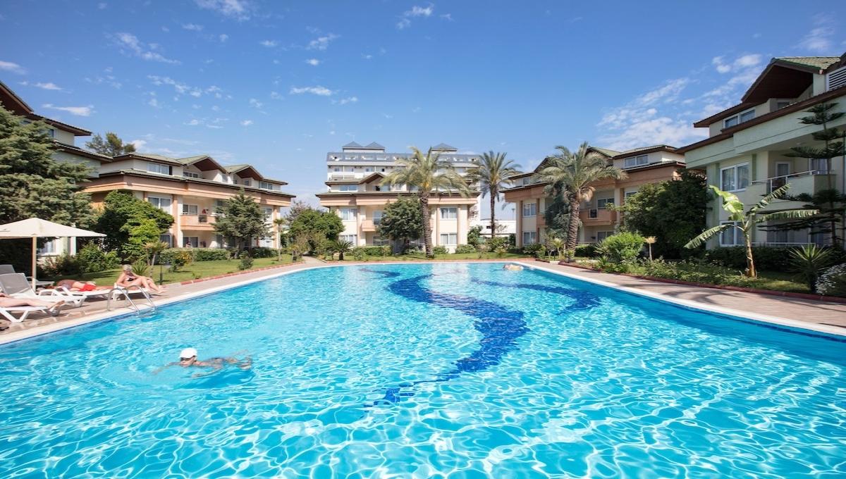 Aydinbey Gold Dreams / Aydinbey Gold Dreams