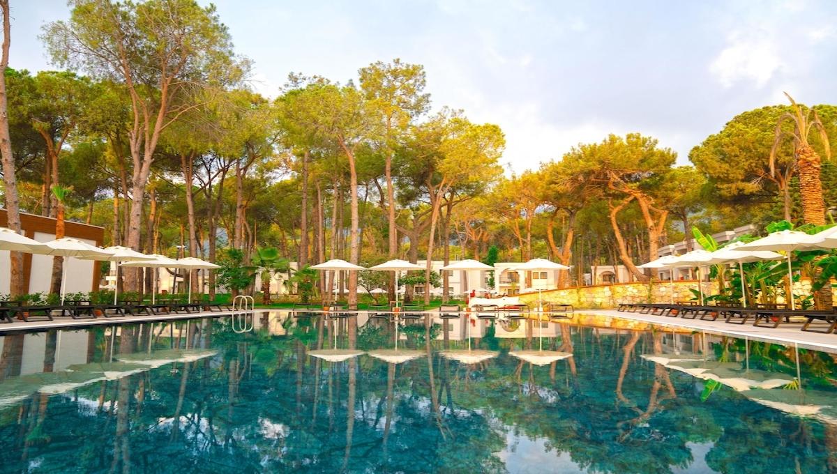 Aydinbey Siu Collection / Aydinbey Siu Collection