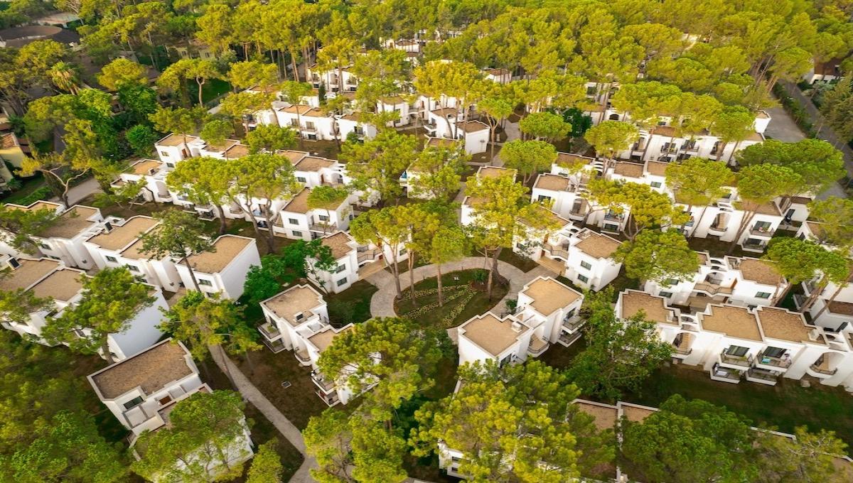 Aydinbey Siu Collection / Aydinbey Siu Collection