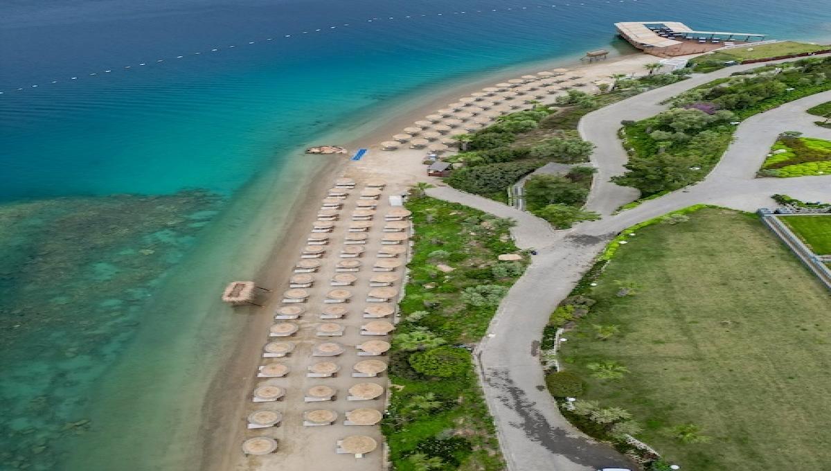 La Blanche Island / La Blanche Island