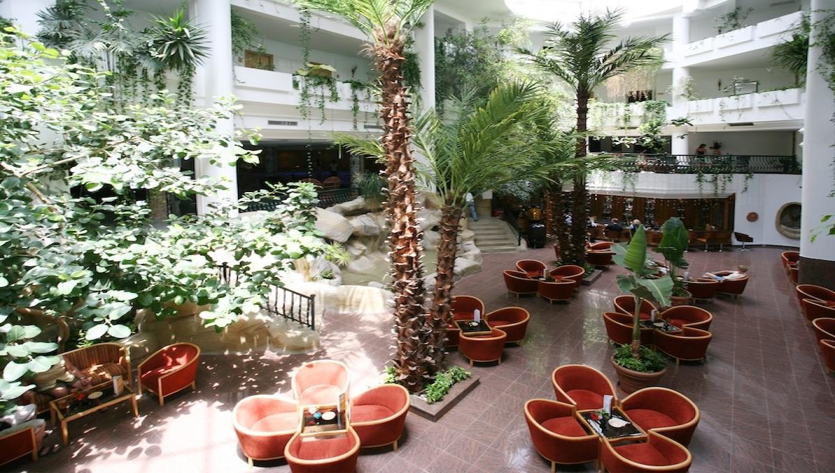 Hammamet Garden / Hammamet Garden