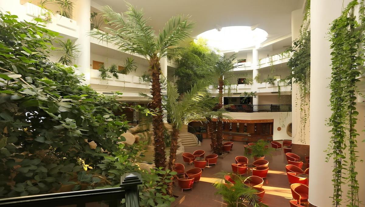 Hammamet Garden / Hammamet Garden