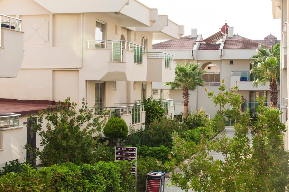 Dream Family Club / Dream Family Club