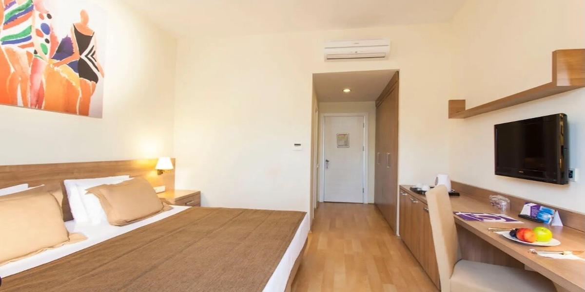 Dream Family Club / Dream Family Club